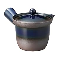 Banko Teapot 2.0 Rakusuten Sea Cucumber Roll (Round Net) (Banko Ware) [4.1 x 4.0 inches (10.3 x 10.2 cm), 360cc] | Japanese Tableware