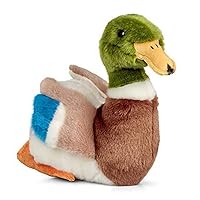 World of Nature 24cm Mallard Duck Soft Toy