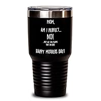 Funny Mothers Day Gift, Am I Perfect, Blame It On Dad, Cute Loving Gift For Mom Mother Mum On Mothers Day, Gift For Mom, Happy Mother'S Day Gift, Best Mom Tumbler (Teal, 20 oz)