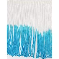 5 Yards Tie Dye Ombre Multicolor Chainette Thread Yarn Tonal Loop Fringe- 7