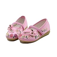Children Girl's Embroidery Mary-Jane Shoes Kid's Cute Flat Dance Shoe