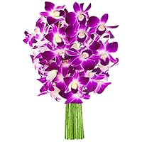KaBloom PRIME NEXT DAY DELIVERY - Mother’s Day Collection - 10 Purple Orchid Gift for Birthday, Sympathy, Anniversary, Get Well, Thank You, Valentine, Mother’s Day Flowers