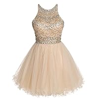 Women's Scoop Beaded Prom Dresses Short Homecoming Party Gown A Line Tulle
