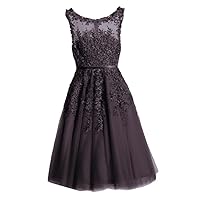 Women's Tulle Prom Dresses Short Teens A Line Lace Applique Homecoming Dress