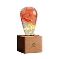 Nebula Mood Lamp - Resin LED Bulb Light on Wood Base, Novelty Plug in Tabletop Accent Lighting,Orange