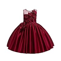 Girls Princess Dress Kids Flower Lace Pageant Birthday Party Wedding Dresses for 3-10 Years