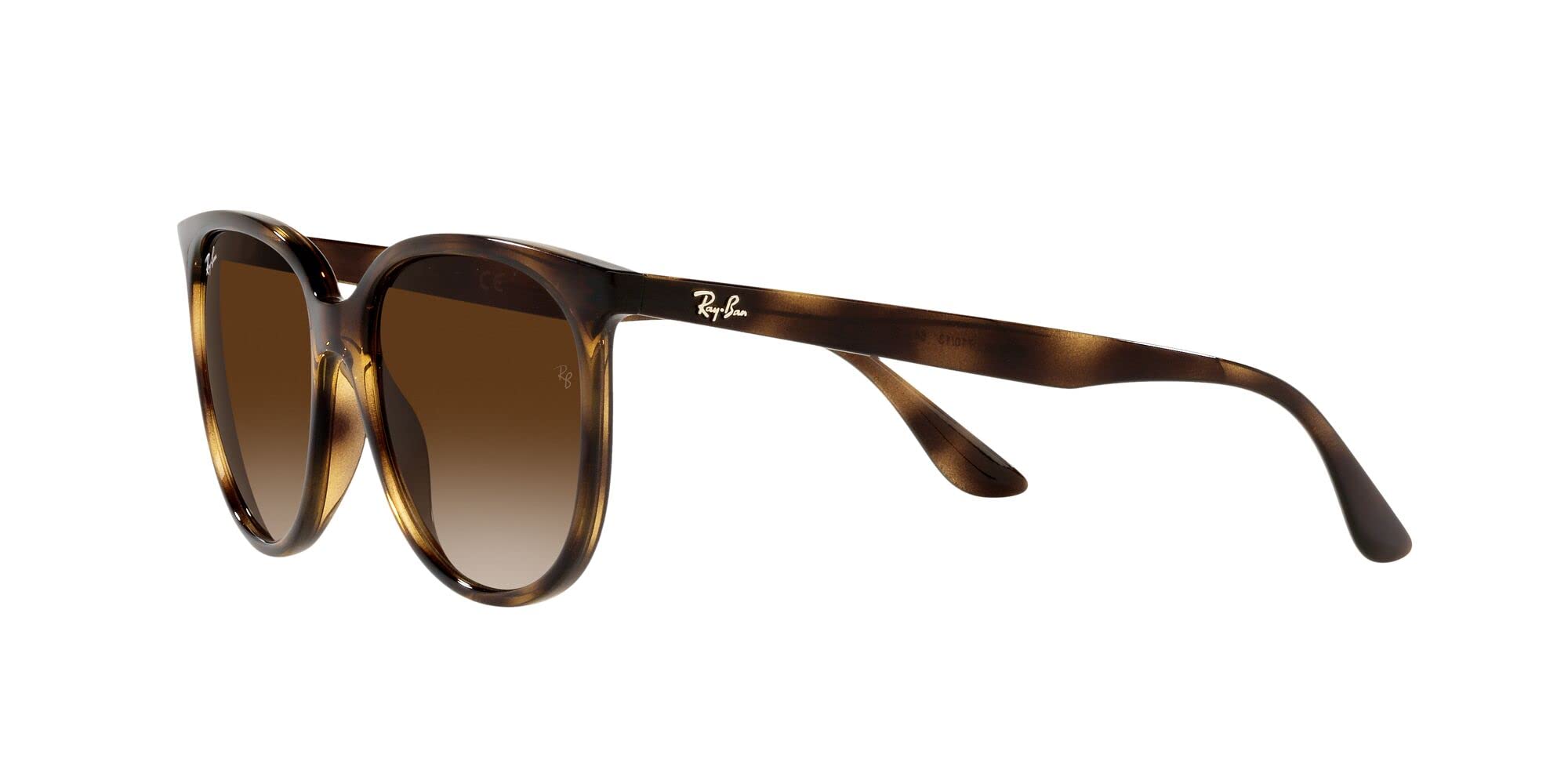 Ray-Ban Women's Rb4378 Square Sunglasses