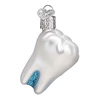 Tooth Ornament, Multi