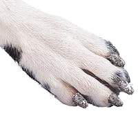 Soft Claws Dog and Cat Nail Caps Take Home Kit, X-Large, Sparkle Silver