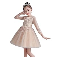 Girls' Princess Dress,Korean Version of The New Long-Sleeved mesh Tutu Skirt,Flower Girl s' Dress.