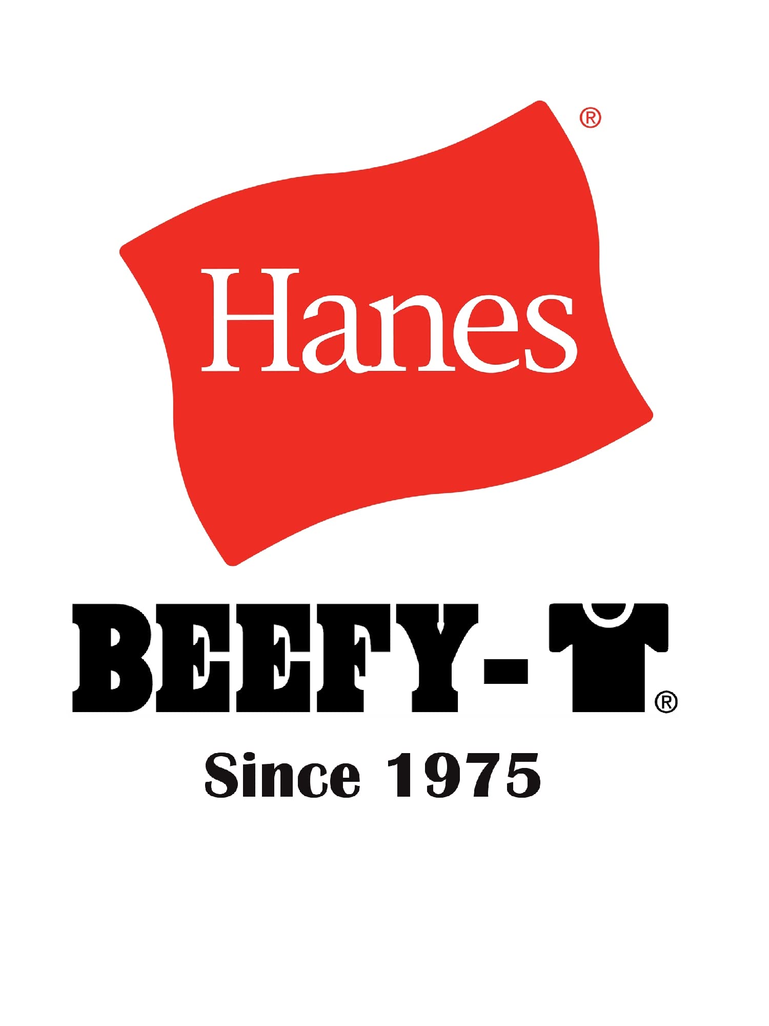 Hanes Men's Beefyt T-Shirt, Classic Heavyweight Cotton Crewneck Tee, Roomy Fit, 1-Pack
