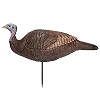 Primos Hunting Lil Gobstopper Hen Turkey Decoy Light-Weight, Collapsible Hunting Decoy 69073, Multicolor