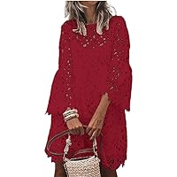 Embroidered Lace Hollow Out Dresses for Women Elegant O Neck Flare Sleeve Dress Ladies Solid Loose