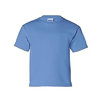 Cotton T-Shirt (G200B) Carolina Blue, L (Pack of 12)