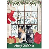 Punch Studio Cats Boxed Christmas Cards Set of 12 (46798), Multicolor