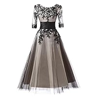 New Women's Womens Cocktail Dresses Elegant Prom Dresses Formal Evening Dress with Lace Insert Appliques