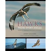 Hawks from Every Angle: How to Identify Raptors In Flight Hawks from Every Angle: How to Identify Raptors In Flight Paperback Kindle Hardcover