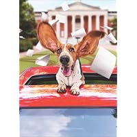 Basset Hound in Limo Dog Graduation Card