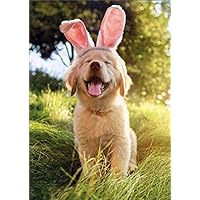 Golden Puppy with Bunny Ears Cute Dog Easter Card