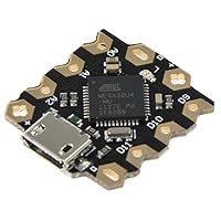 DFRobot Beetle Microcontroller (Arduino-Compatible)