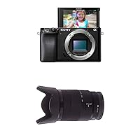 Sony Alpha A6100 Mirrorless Camera + Sony 18-135mm F3.5-5.6 OSS APS-C E-Mount Zoom Lens