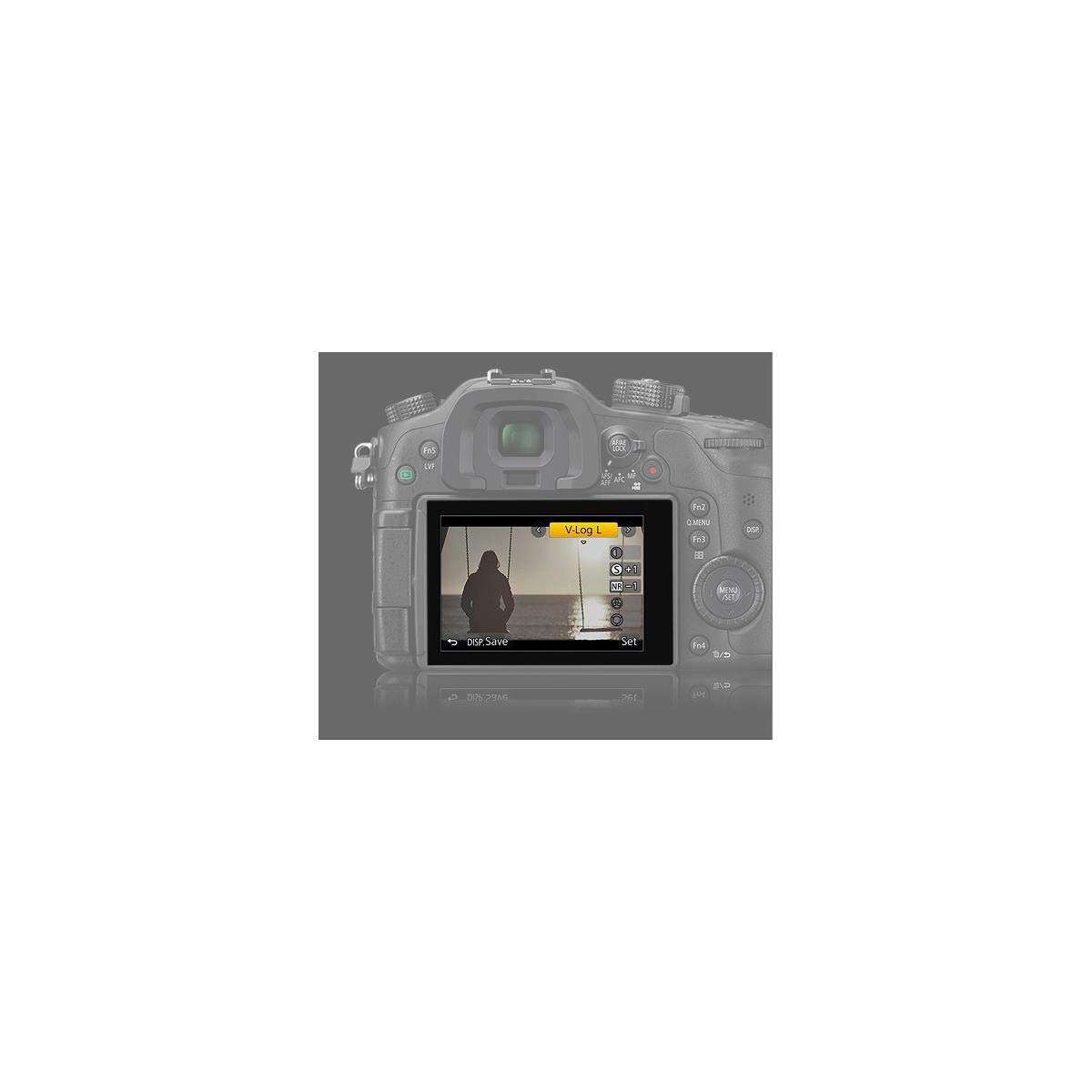 Panasonic DMW-SFU1 Digital Camera LUMIX GH4 Dedicated V-Log L Upgrade Software