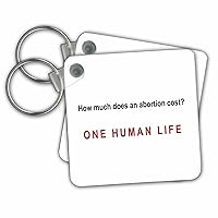 3dRose Key Chains How Much Does Abortion Cost (kc-60812-1)