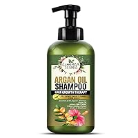 Argan Oil Hair Shampoo, 10.14 Fl Oz (300ml), Moroccan Oil Shampoo for Dry, Damaged, and Frizzy Hair, Paraben and Sulfate Free