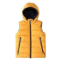 Boys Girls Zip-up Fleece Lined Cotton Padded Vest with Hood