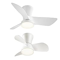 SUNMORY 22&30 inch ceiling fan (white) in Bundle