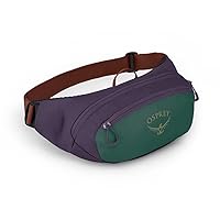 Osprey Daylite Waist Pack, Axo Green/Enchantment Purple