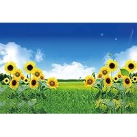 YongFoto 7x5ft Spring Sunflower Field Backdrop Nature Scenery Yellow Flower Photography Background Wedding Baby Shower Birthday Party Events Kids Adults Photoshot Props YouTube Studio
