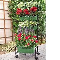 Watex Mobile Green Wall (Single Frame, Spring Bouquet), BPA Free Planters