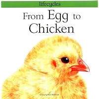 From Egg to Chicken (Lifecycles) From Egg to Chicken (Lifecycles) Paperback Library Binding Mass Market Paperback