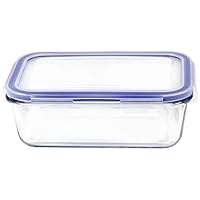 Borosilicate Microwave and Oven Safe Rectangular Glass Food Storage Container with Snap Locking Plastic Lid, Blue Lining, 27 oz., Clear