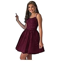 Burgundy Short Homecoming Dresses Appliques 2023 A-Line Tulle Prom Party Dress for Juniors 0