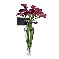 Danya B Decorative Wall Mount Amphora Glass Flower Vase on Iron Sconce with Finials Clear Glass, Vase Wall Décor for Indoor or Outdoor Patio and Garden Decor