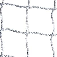 BSN Lacrosse Net (4mm)
