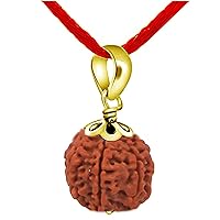 Choose Your Natural Certified Nepali Rudraksha 1 To 13 Mukhi Faced Yellow Gold Plated Pendant