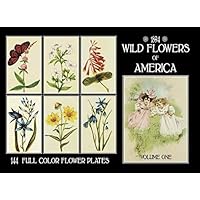 Wild Flowers of America: 144 Illustrations of Every Flower in the American Union (Volume)