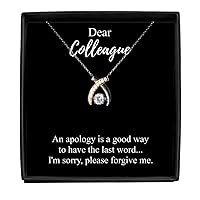 I'm Sorry Colleague Necklace Funny Reconciliation Gift Apologize Pendant A Way To Have The Last Word Quote Chain Sterling Silver With Box