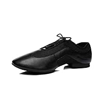 Men's Comfort Standard Breathable Mesh Synthetic Tango Latin Ballroom Character Modern Dance Shoes