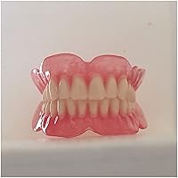 Upper Teeth and Lower Teeth Model - Denture Model - Mouth Tooth Model for Kids or Dentist Students Demonstration Teaching Studying Tool
