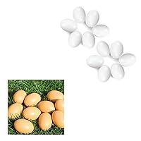YunKo 6Pcs Wooden Brown Fake Nest Eggs 12Pcs White Easter Eggs for Craft Get hens to Lay Eggs