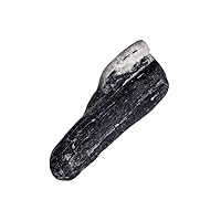 Untreated Black Tourmaline 28.50 Ct Natural Egl Certified Healing Crystal Rough Tourmaline for Jewelry