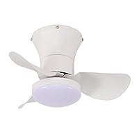 Small Ceiling Fans with Lighting and Remote Control, Quiet, 6 Speeds, DC, Mini Children's Bedroom, LED, Reversible, Dimmable Ceiling Fans, Modern Living Room Lamp with Fan, White