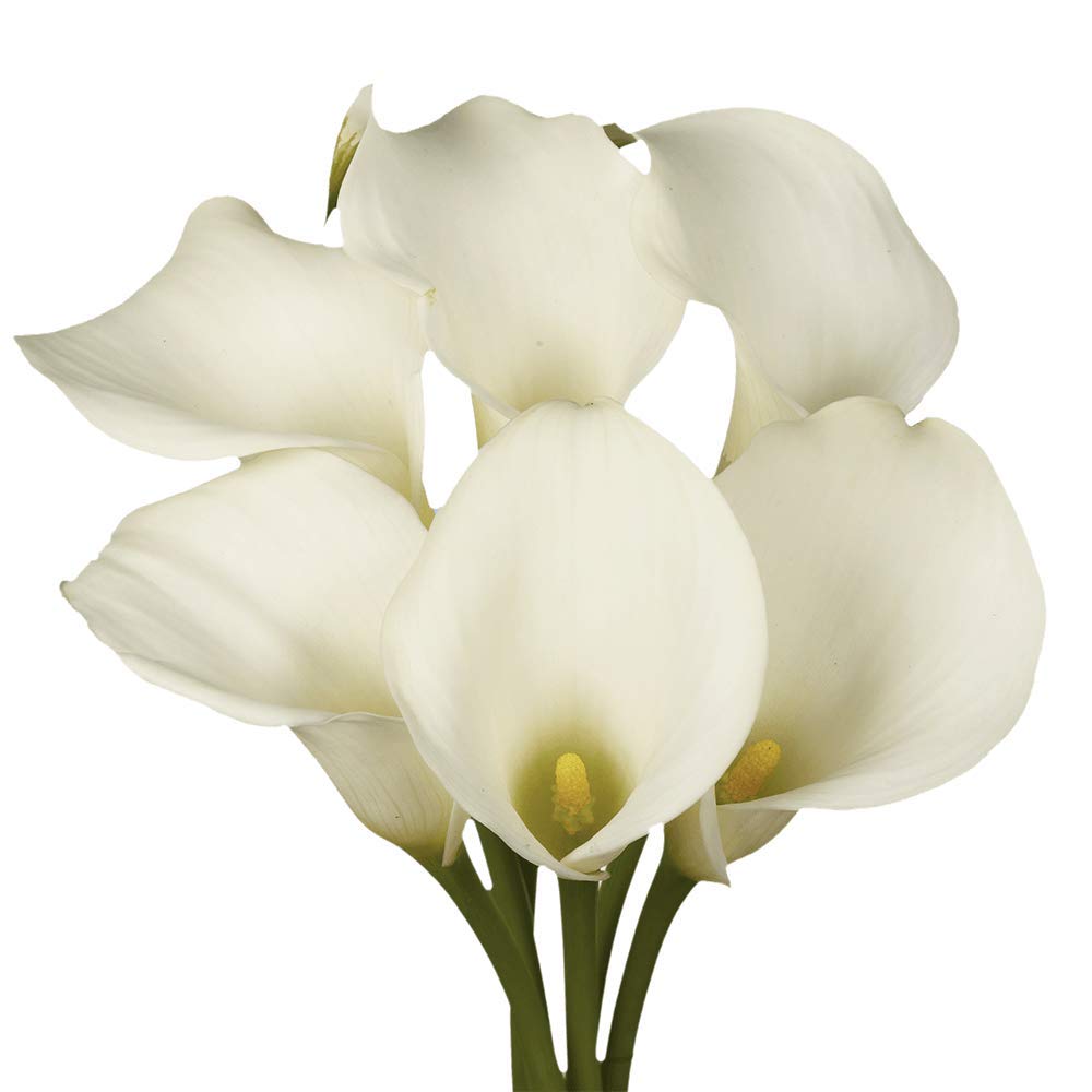 GlobalRose 30 Stems of White Calla Lilies - Fresh Flowers for Delivery