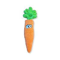 Duraplush Medium Carrot: Sqeakerless Eco-Friendly and Durable Toy for Dogs | Perfect for Fetch and Tug-of-War Play | Made in USA