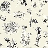 Boutique Printed Tissue Paper for Gift Wrapping with Elegant Botanical Illustrations, Decorative Tissue Paper - 24 Large Sheets, 20x30