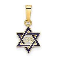 14k Gold Polished and Enameled Solid Religious Judaica Star of David Pendant Necklace Measures 16.65x8.33mm Wide 0.65mm Thick Jewelry for Women